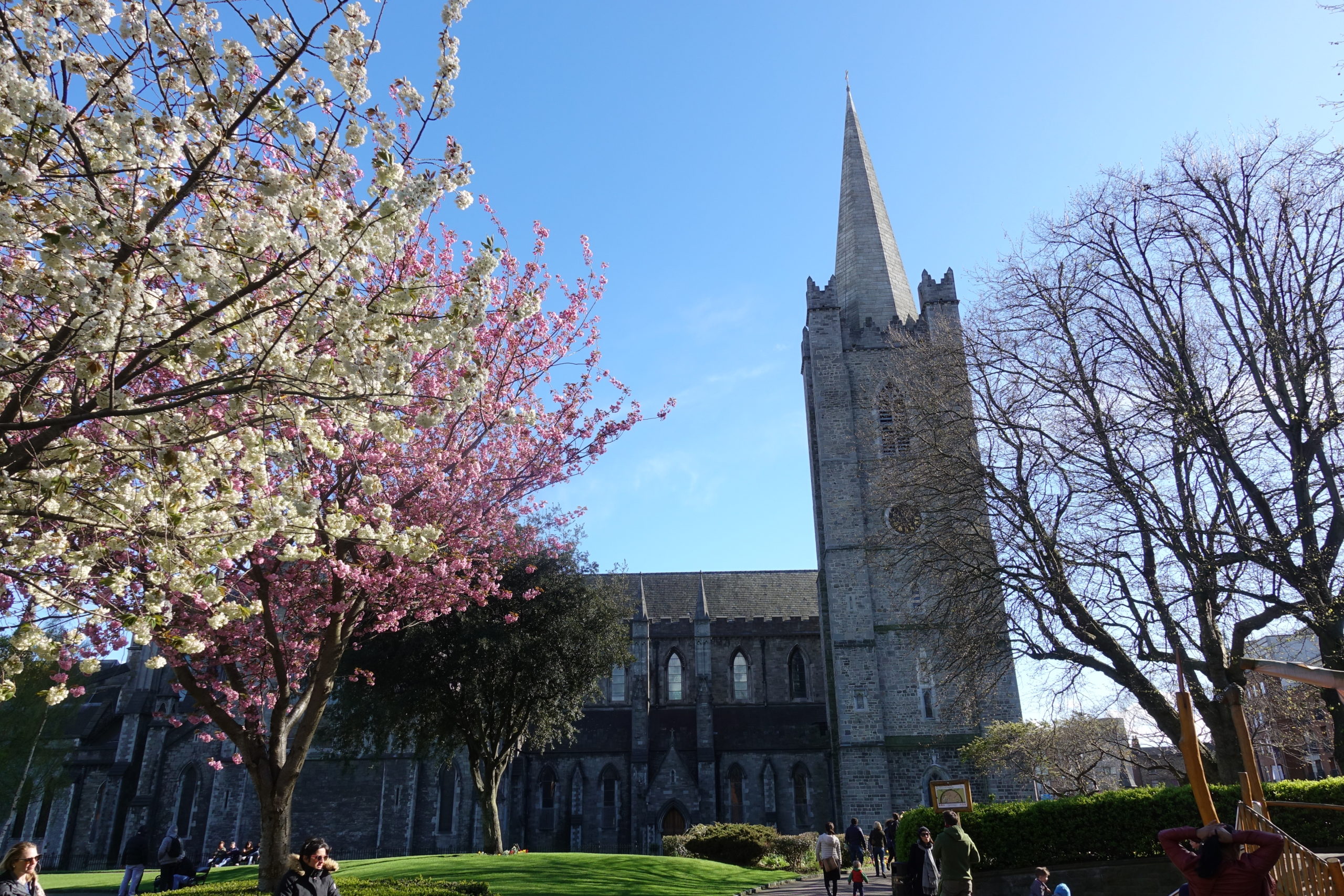 Dublin in the Sun