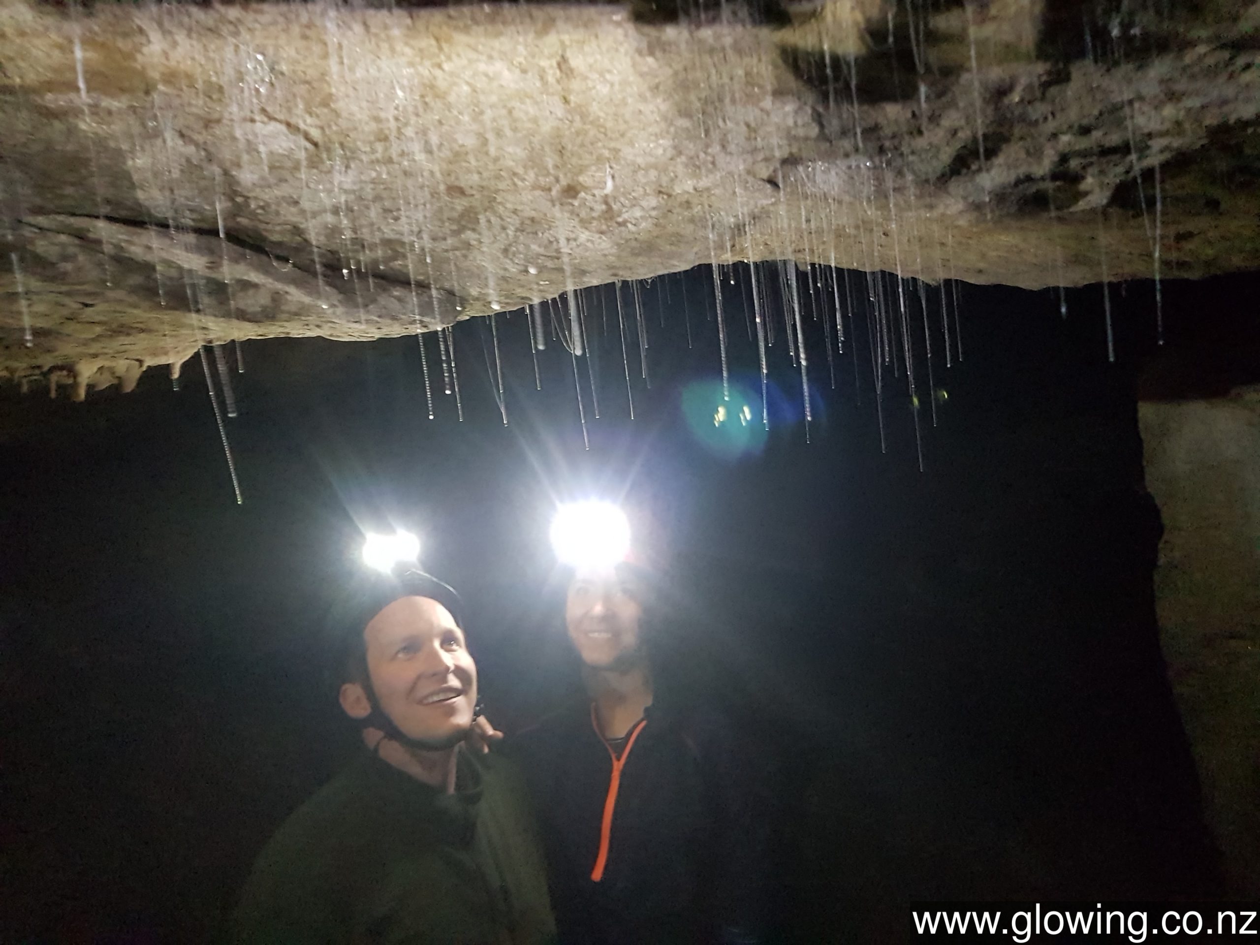 Glow Worms, “Home”, and Reflections